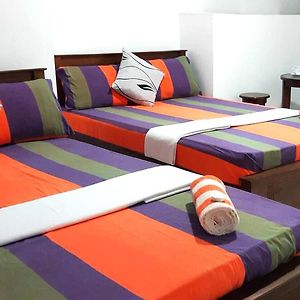 Lilly Rooms